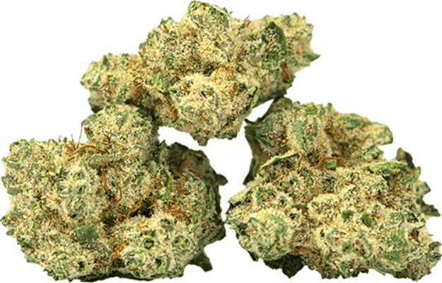 Burmese Kush image 1