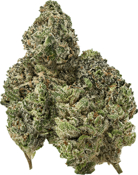 Cold Fusion image 1